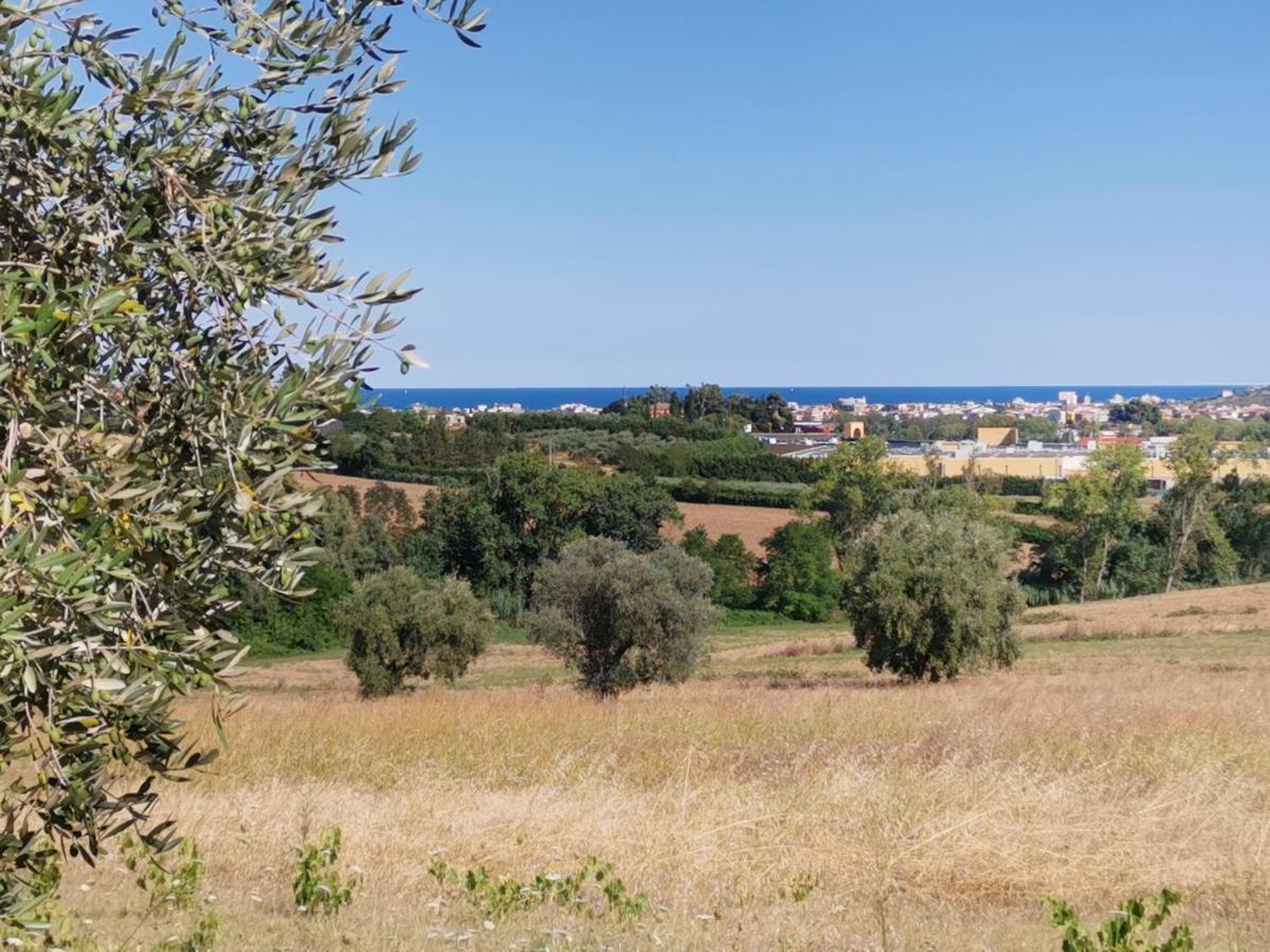 Residence Il Villaggio Del Re Corropoli Екстериор снимка