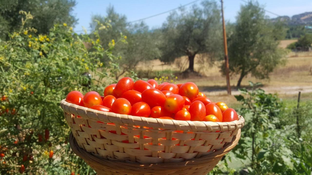 Residence Il Villaggio Del Re Corropoli Екстериор снимка